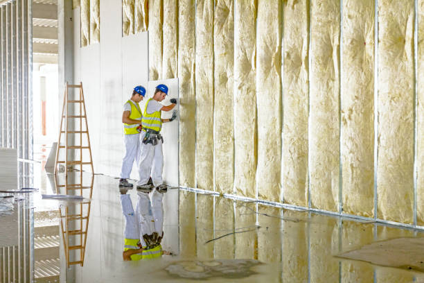 Types of Insulation We Offer in West Sharyland, TX